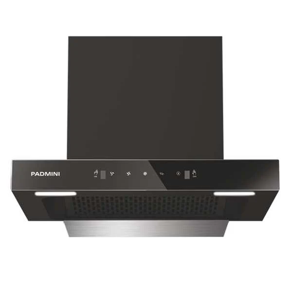 PADMINI Electric Chimney Crest - Image 5